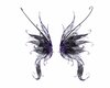 Tazi Wings