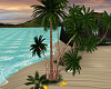 Palm Beach Palm Tree