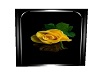~D~ Yellow Rose Picture