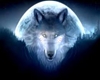 Blue Moon Wolf TShirt M