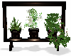 Framed Plants with Falls
