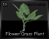Flower Plant 25