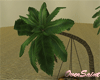 :OS: Palm with Swing