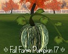 Fall Farm pumpkin 17