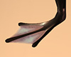 D!  Skin Frog Feet