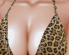 Chained Top Leopards
