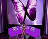 ~Butterfly Couch~