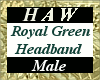 Royal Green Headband - M