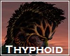 Thyphoid