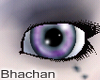 Lilac/Powder Blue Eyes