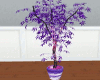 plant purple animated