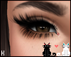 KISA|DioneLashBrows