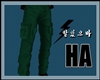 [HA]Green Cargo