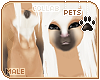 [Pets] Phar | abs fur