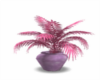 Purple n Pink Plant