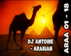 DJ_Antoine-Arabian
