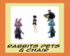 Rabbits pets and chair