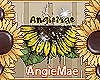 AM* AngieMae Banner