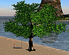 Romantic swing/tree