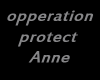 Operation Protect Anne