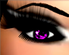 Purple Passion Eye