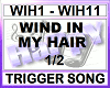WIND IN MY HAIR 1/2