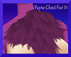 Payne Chest Fur v1