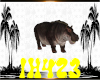 *H4*Baby Hippopotamus