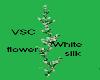 VSC white flowers