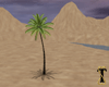 ![T] Animated Palm Tree