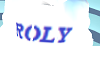 ROLY'S BLUE HOODIE