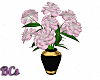 Carnations in Vase Pink