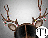 T! Holiday Reindeer Bdle