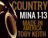 MADE IN AMERICA TOBY KEI