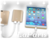 (LA) Gold Power Bank