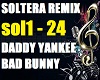 Soltera Remix
