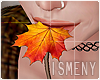 [Is] Maple Leaf Mouth F