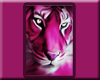 !FC! Pink Tiger Poster1