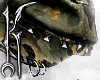 ╋━ CAMO