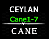 Ceylan -♬