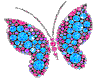 {7q}Butterfly