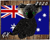 Koala Love For Australia