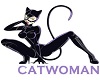 Shadows catwoman