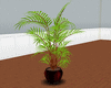 [MK] plant 3