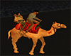 MT  Egyptian Camel