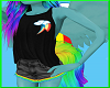 Dark Rainbow Dash Outfit