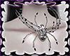 Spiderrr 🕷 ₊ ⊹