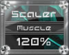 (3) Chest/Mscle (120%)