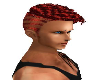 (SA)Jarmi Red Hair