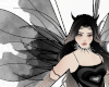 large black fairy wings